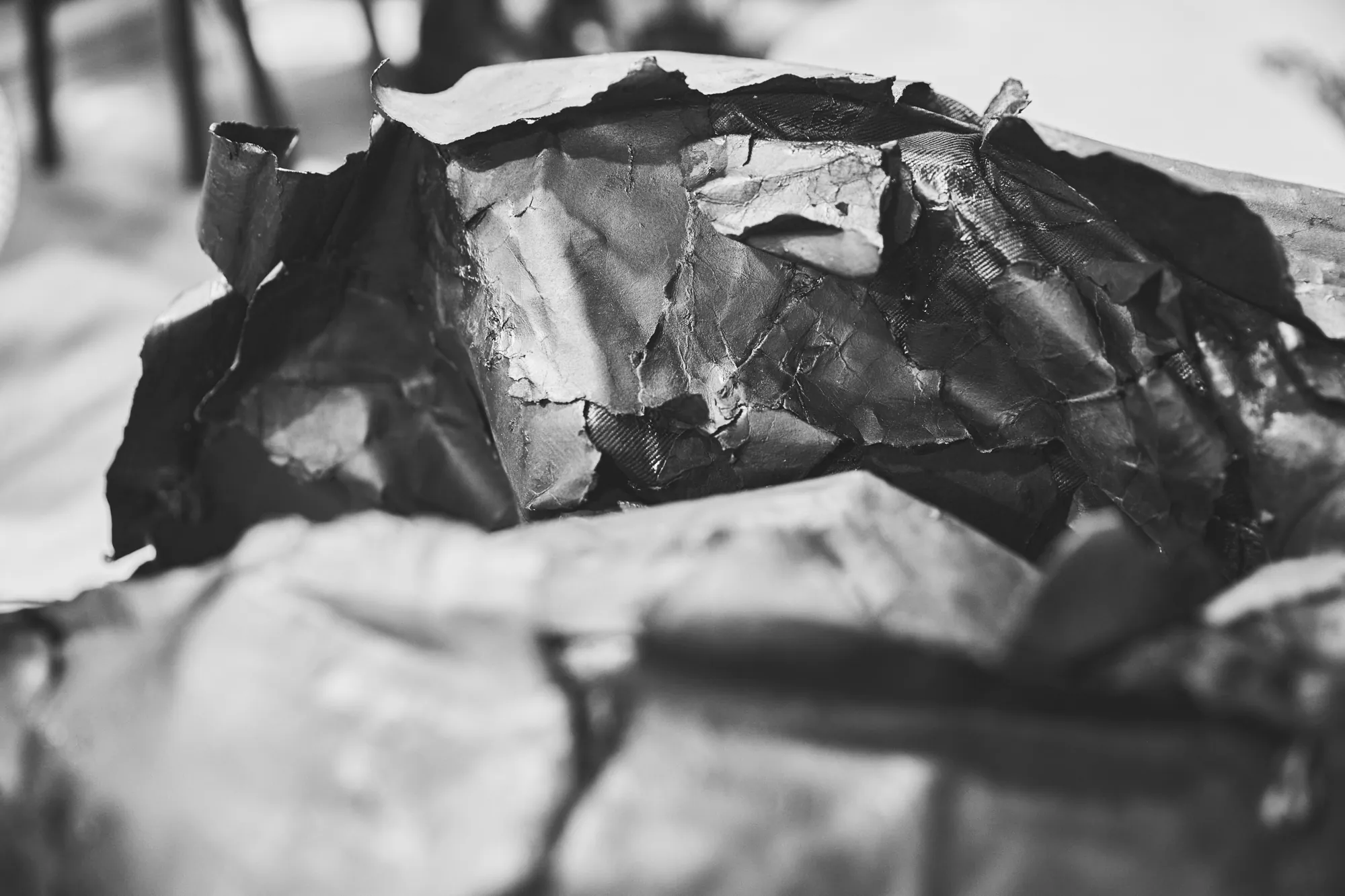 PIROSMANI — PAPER CREATURE — кадр 7